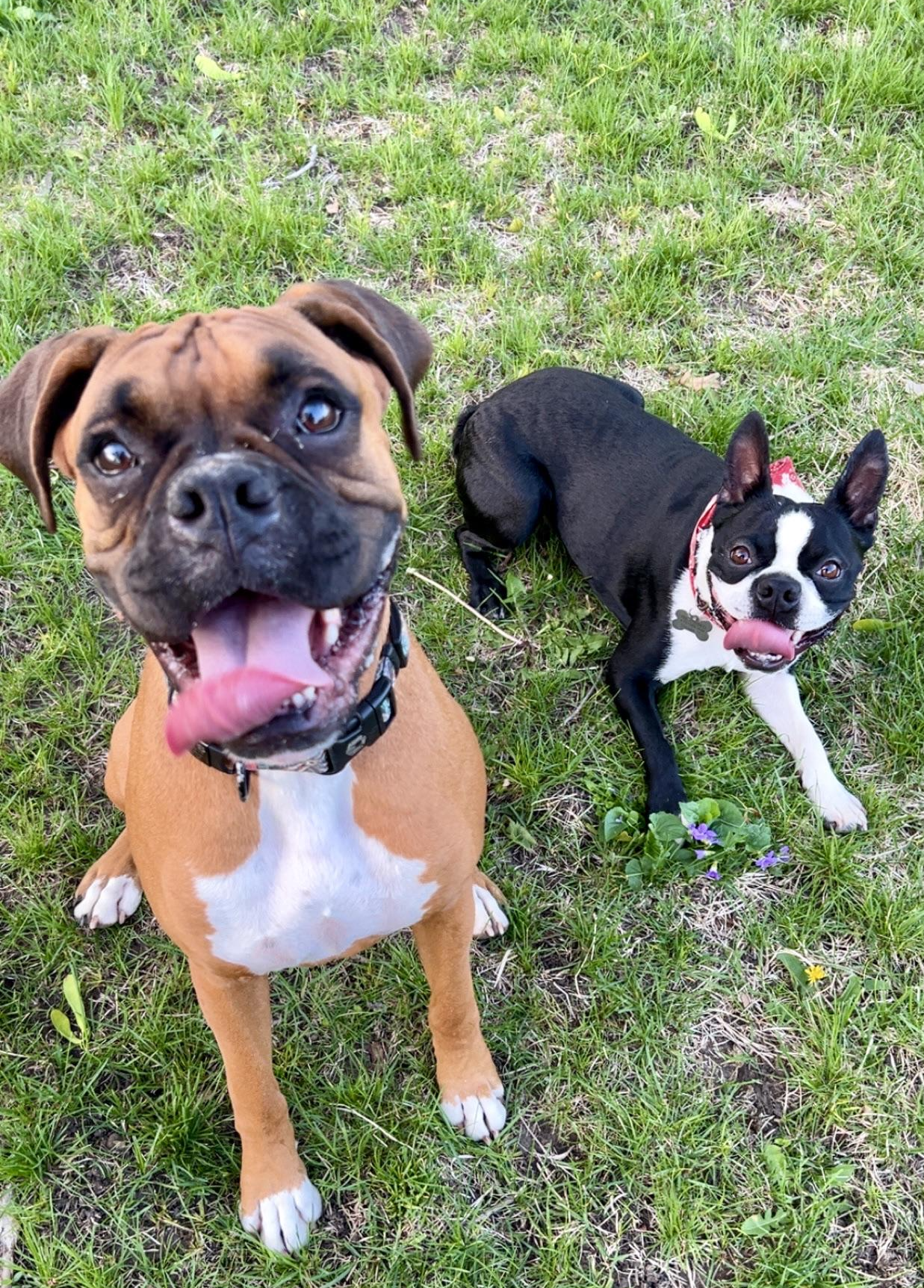Before: Best Friends